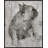 " Duke " by Albena Hristova-23611255-24088044-24422326