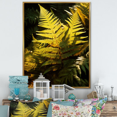 «Wonderland Ferns in Green World», reproduction sur toile