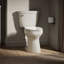 Cimarron 1.28 GPF Water Efficient Elongated Two-Piece toilet (Seat Not Included)-62674207
