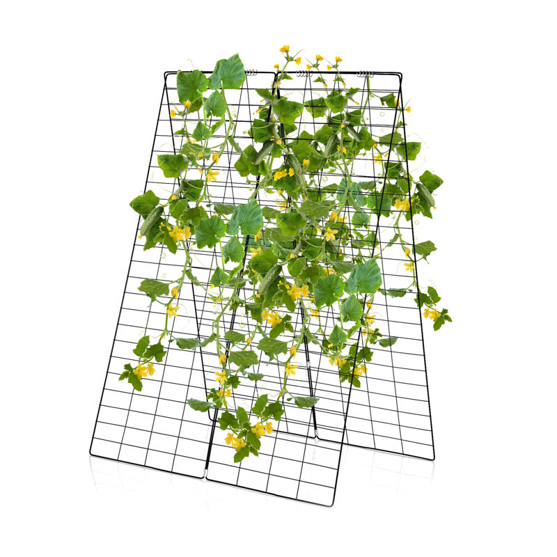 Breyden 122cm H x 86cm W Lattice Panel