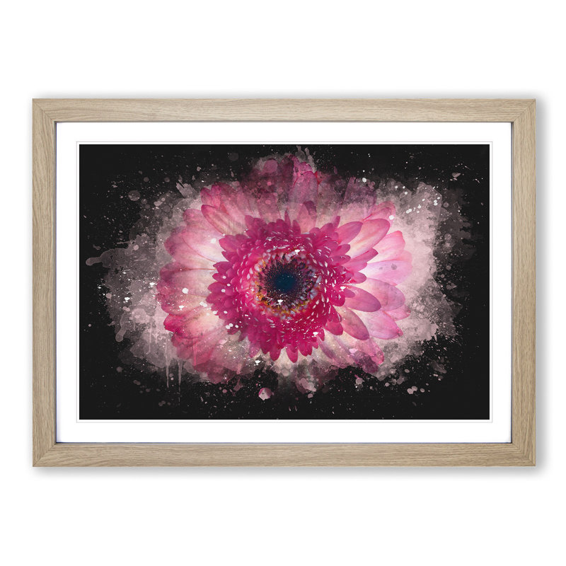 Layers Of A Pink Gerbera Paint Splash - Picture Frame Graphic Art, 33cm H x 45cm W x 2cm D, Oak Framed