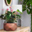 Idealist Geometry Style Bronze Bowl Planter, Indoor Plant Pot For Indoor Plants D30 H15 Cm, 10L-1632447001-1632447006