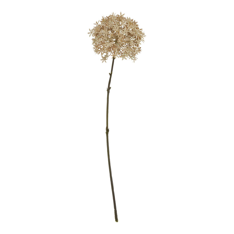 Arrangement, 63 cm H x 5 cm W x 5 cm D, Brown