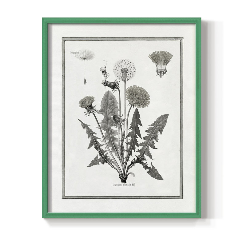 Pissenlit I, reproduction encadrée - bois massif, H 21 po x l 17 po, Vert