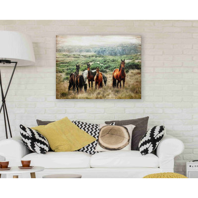 " Horse In Wild "