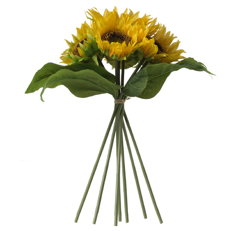 Centres de tournesol en paquet