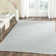 Whorton Hand Woven Cotton Ikat Rug