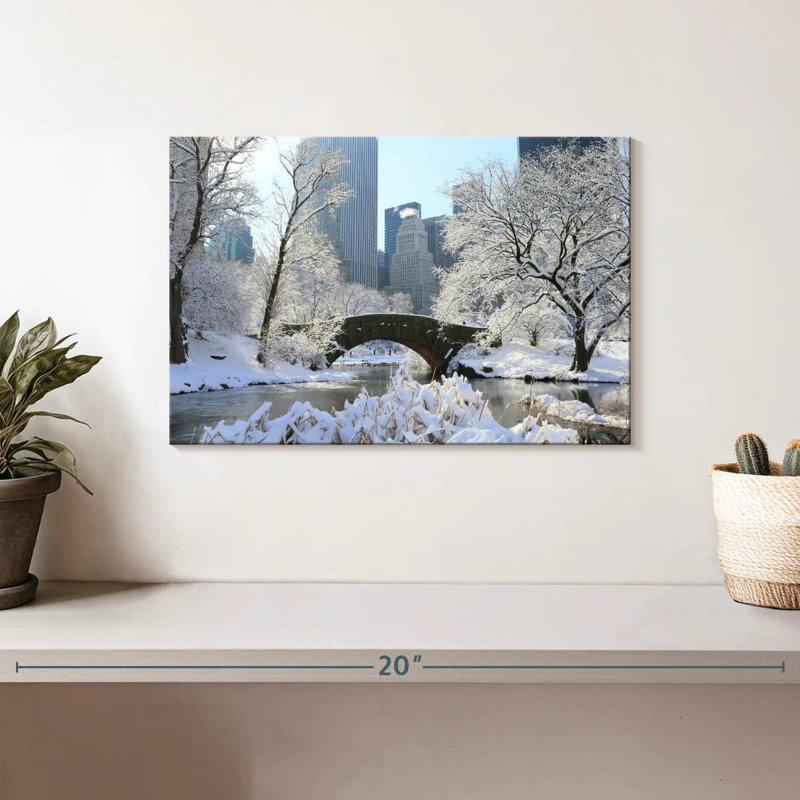 Kavia Snowy Central Park, NY, H 8 po x l 12 po