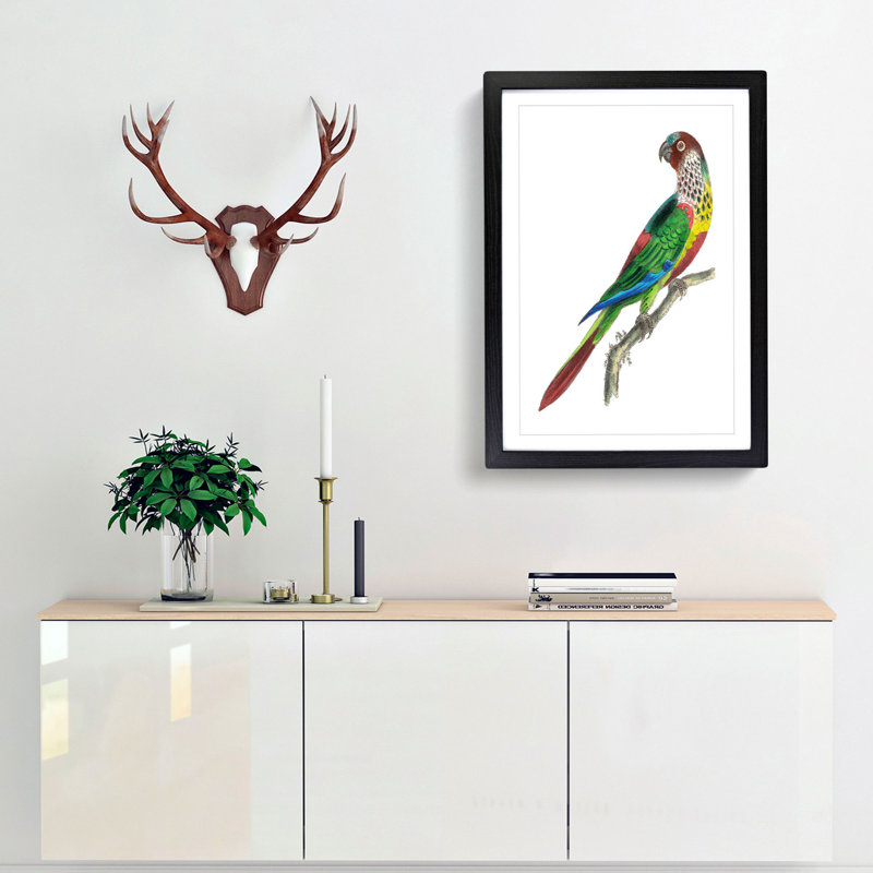 Parakeet by George Shaw - Framed Print, 36cm H x 27cm W x 2cm D, Black Framed
