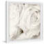 Creamy White Roses - Single Picture Frame Painting-1967875617
