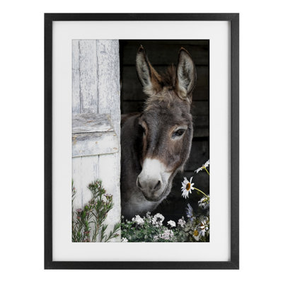 Gentle Donkey Peering from Barn Framed Print Under Glass, design by CAD Designs