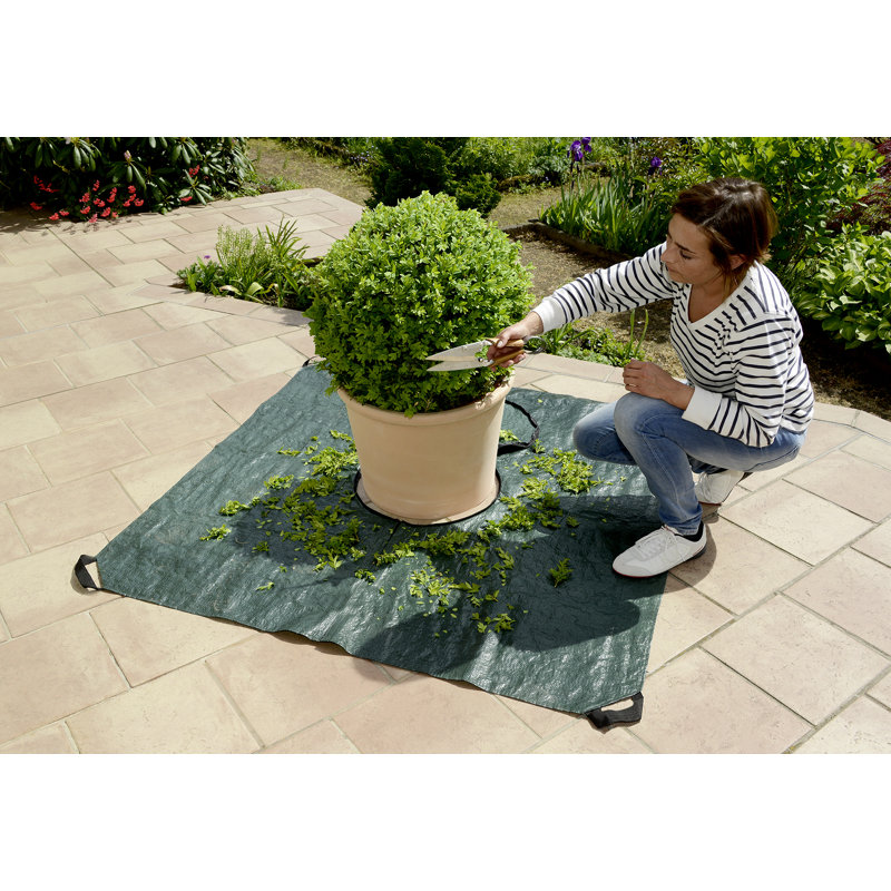 Ailan Plant Stand