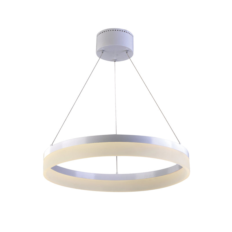 Luminaire à DEL 1 lumière à anneau blanc