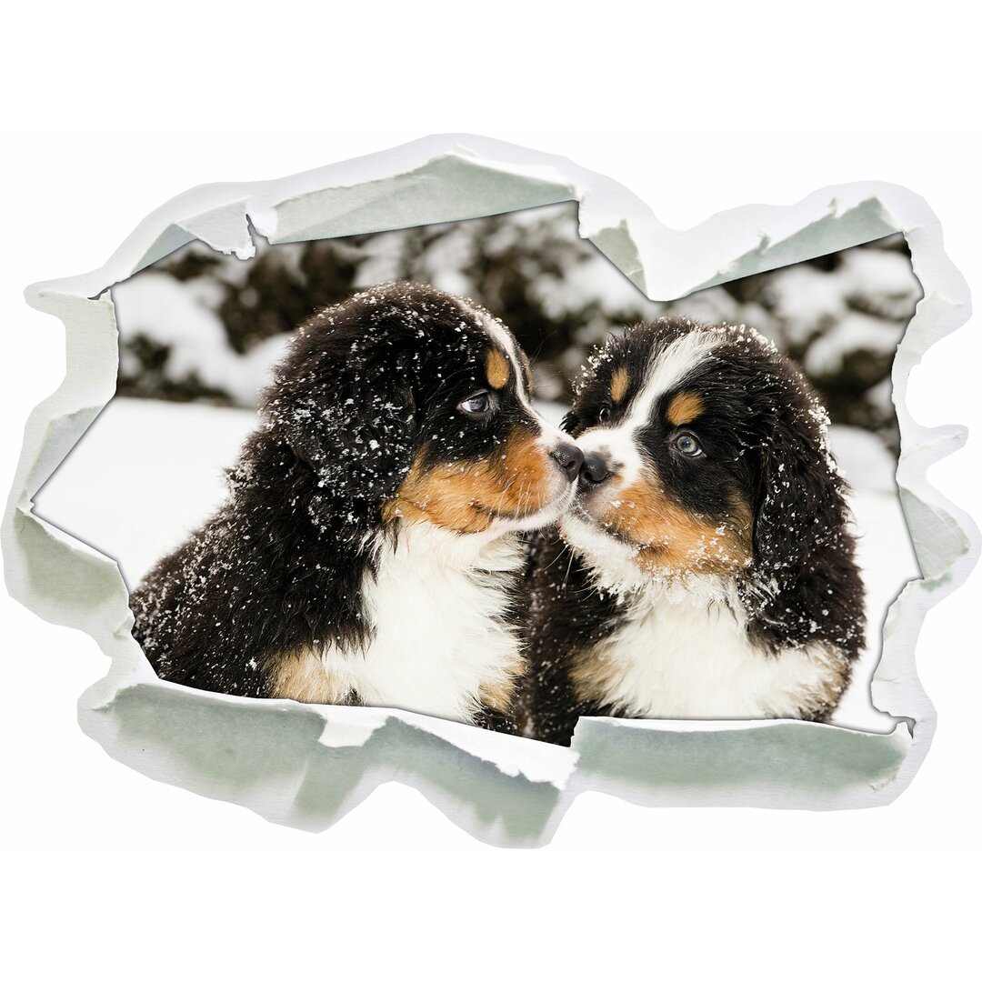 Wandtattoo Bernersennen Hunde Welpen im Schnee