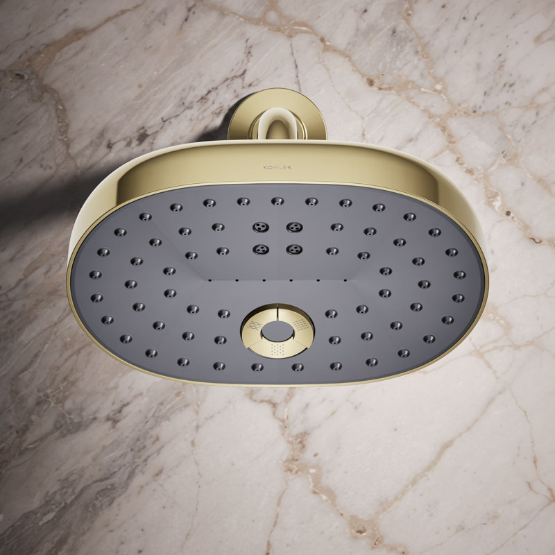 Statement™ 2.5 GPM Oval Multifunction Showerhead with Katalyst Air-Induction Technology, Vibrant French Gold