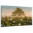 Alvord Morning Field Dandelions-107703894
