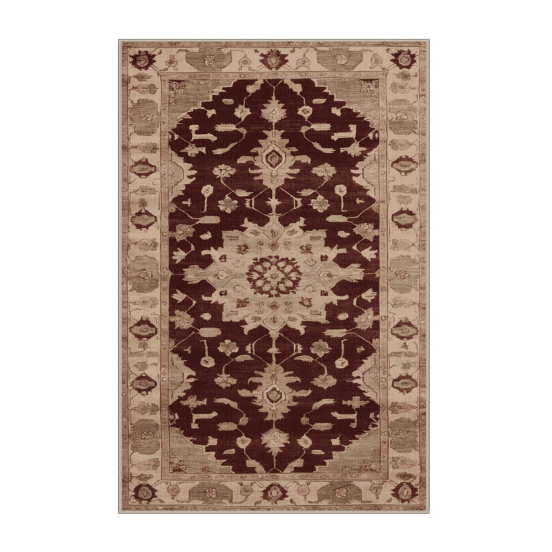 Machine Washable Overdyed Brown Area Rug, Rectangle 2' x 3'