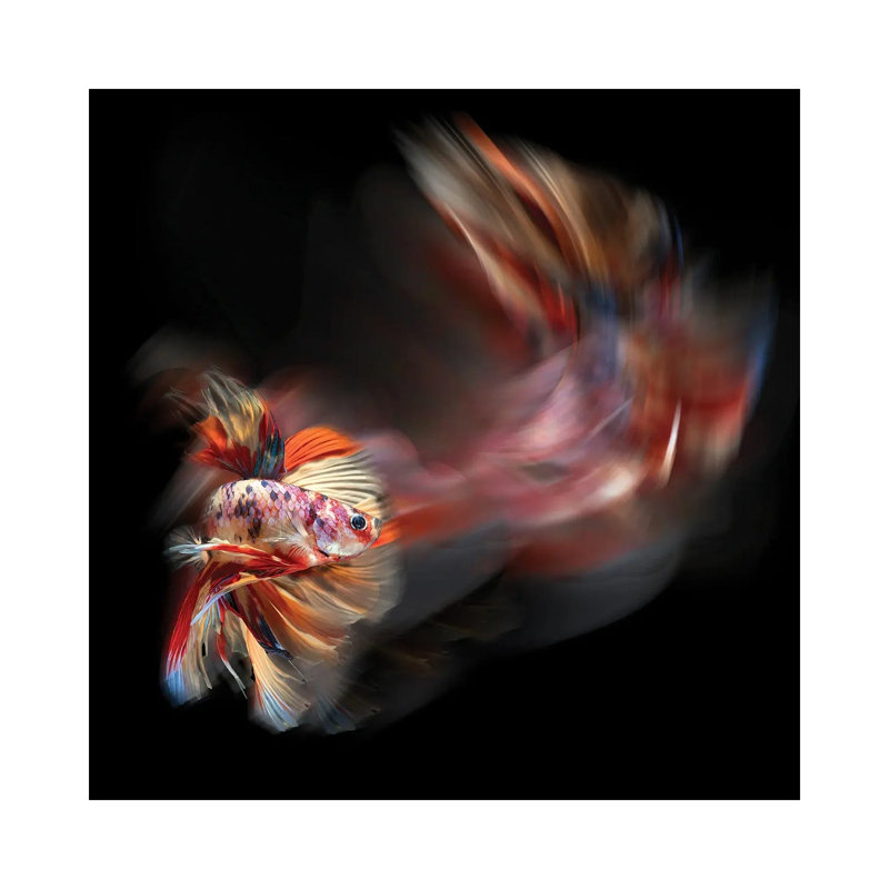 Bettafish Path 1 Piece Wrapped Canvas Painting, 93.98 cm H x 93.98 cm W x 1.91 cm D