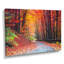 « Road In Beautiful Autumn Forest » - reproduction de photo-1524240492-1510207584-1561591361