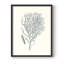 Antique encadré corail I - bois massif-268210501-268210507