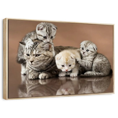 Famille de chats