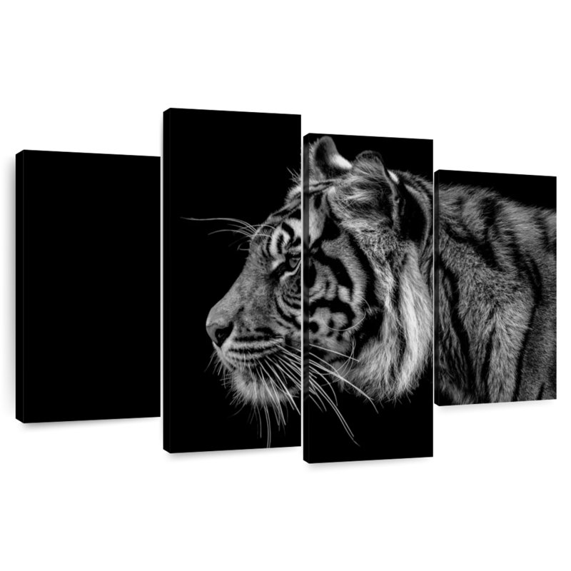 Brampt Tiger Profile, 22" H x 36" W