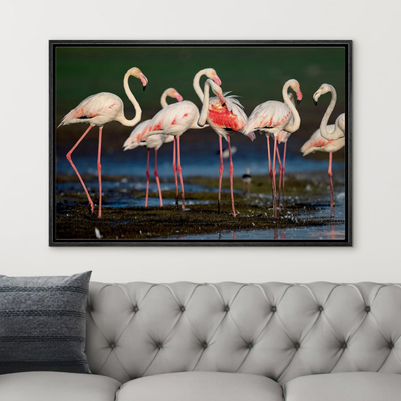 Flamants roses vibrantes, safari et jungle, Cadre noir, H 16 po x l 24 po x P 1,5 po