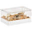 Lizard, Snake, Turtle Modular Habitat-121362467