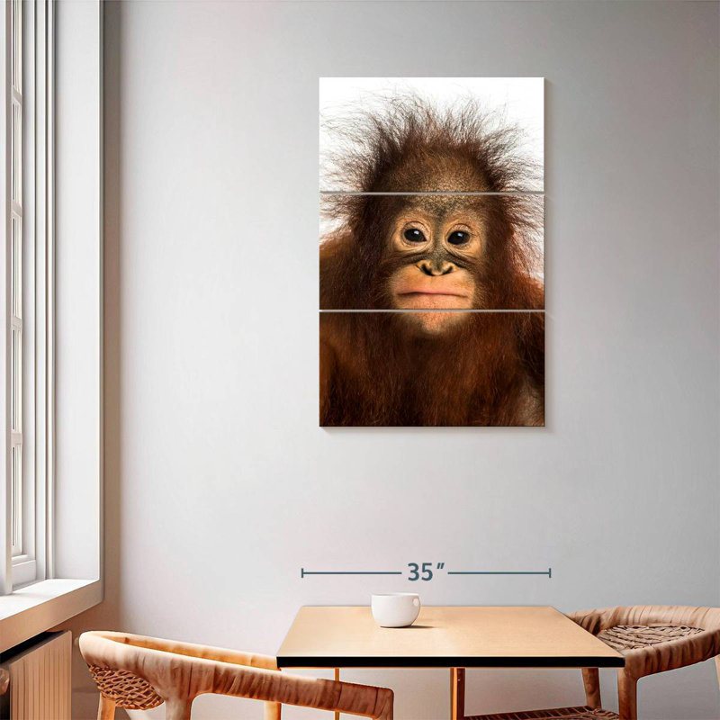 Brampt Hairy Forest Brampt, 57" H x 36" W