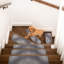 Tapis d'escalier Antwyan-932765922