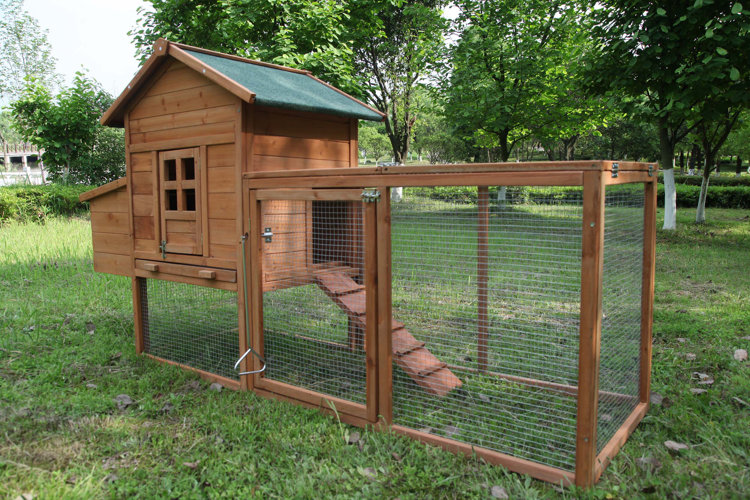 medium chicken coop