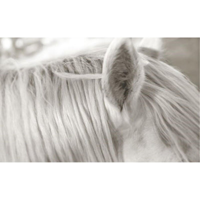 Focusing On White Horse I Print by Mari Urasawa