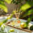Sage&Citrus Reed Diffuser Set-1656338082