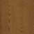 Amber Oak Veneer