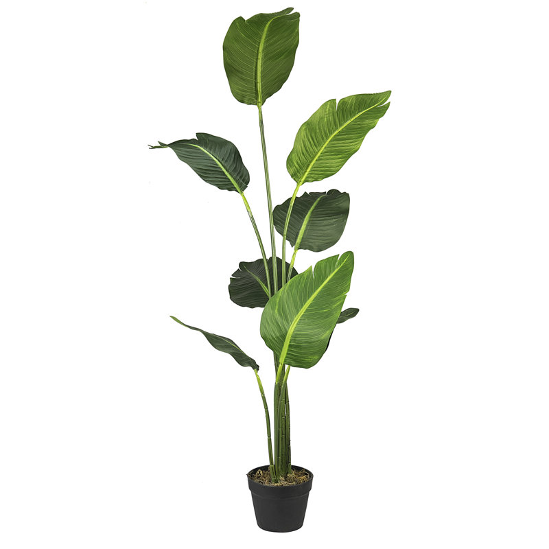 Baskett 60 " H Faux Banana Leaf Tree in Plastic Pot