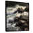 Black Floater Framed