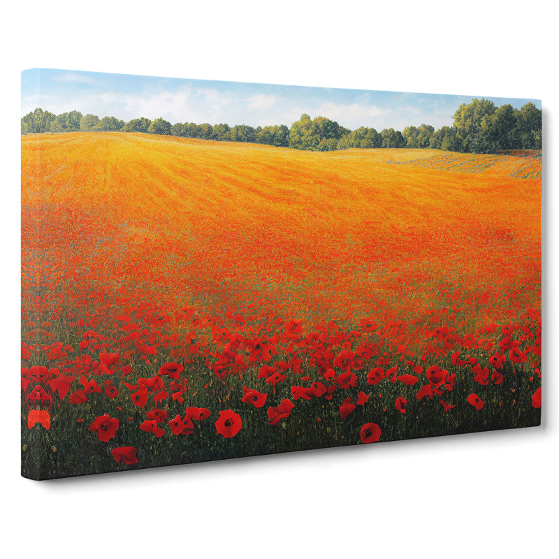 Tremendous Poppies Flowers - Wrapped Canvas, 35cm H x 50cm W x 3cm D