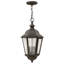 Edgewater 3-Light Outdoor Hanging Lantern-50508205
