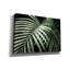  «Palm Fronds Green» par Debra Van Swearingen, art mural sur toile, 26 po x 18 po-549688492