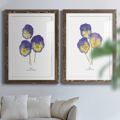 Pressed Violas I - Ensemble de 2 peintures encadrées