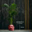 Handmade Pot Planter-52454979