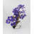 Orchid Arrangement in Vase-42124600