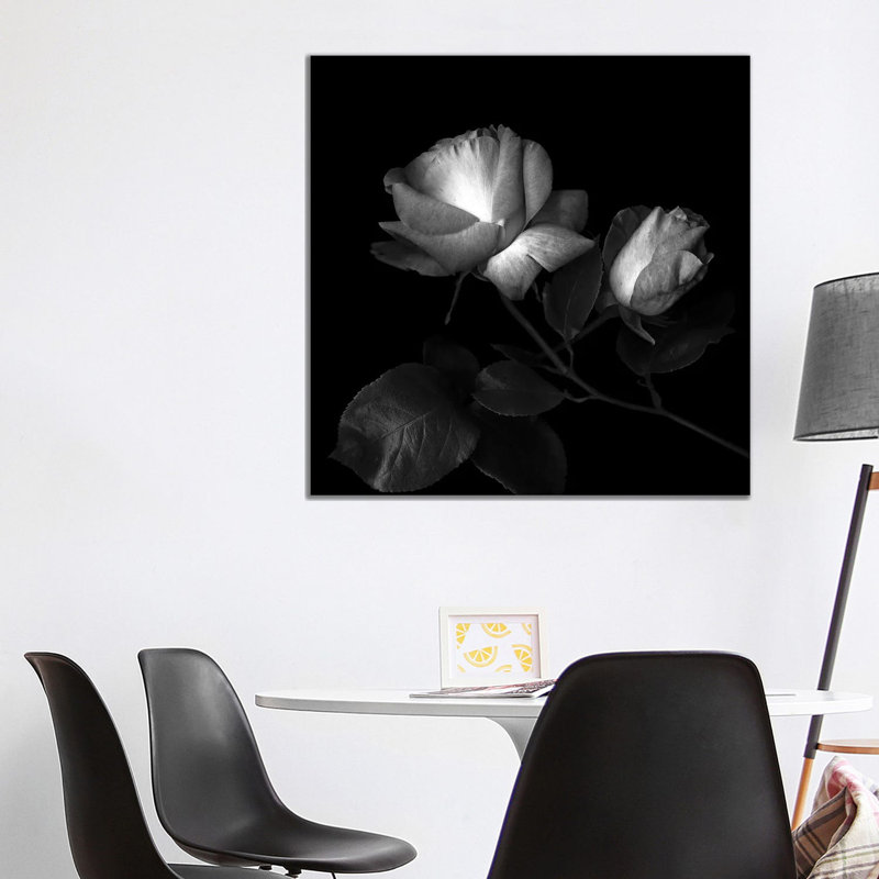Two Roses Two Tones, B&W 1 Piece Wrapped Canvas Wall Art, 93.98 cm H x 93.98 cm W x 1.91 cm D