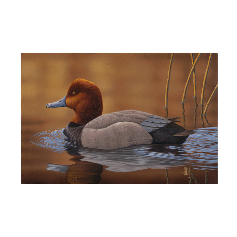 Jeff Hoff Redhead Duck Canvas Art, 12" H x 19" W