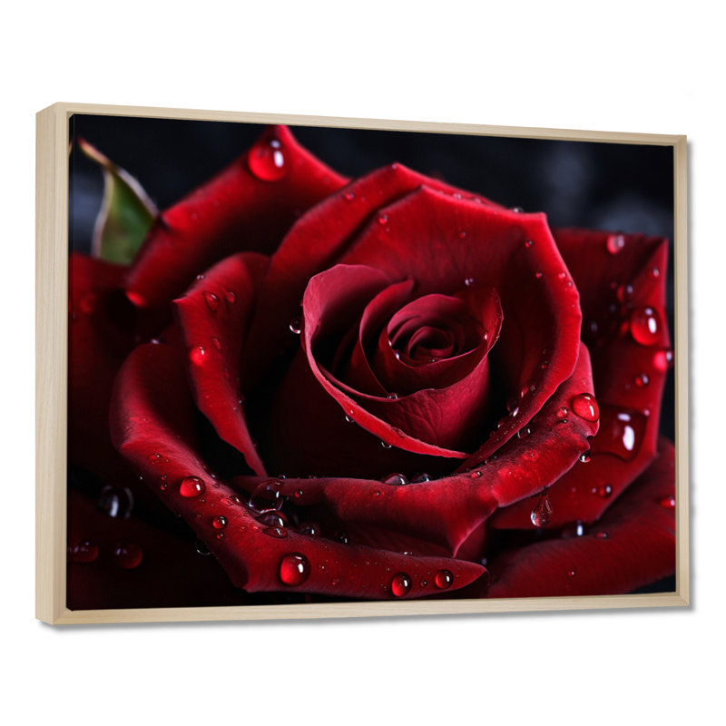 Rose rouge avec gouttes de pluie I - art mural floral encadré, H 12 po x l 20 po x P 1 po, Maple Floater Framed