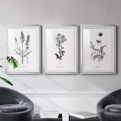 " Simply Imperial " 3 - Pieces