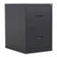 46.5cm Wide 2 -Drawer Steel File Cabinet-27057614