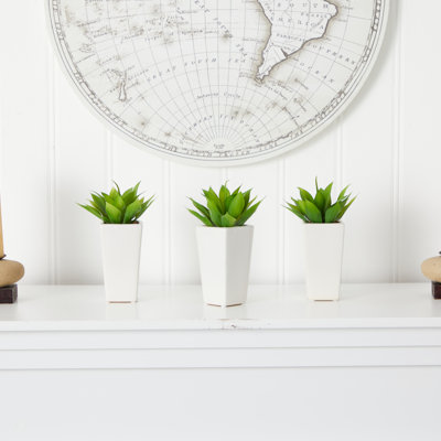 Plante agave artificielle 4 po en pot
