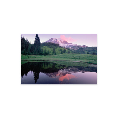 Annese " Mt Rainier Reflected In Lake, Mt Rainier National Park, Washington I " by Tim Fitzharris