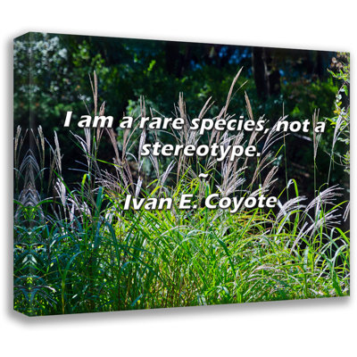 Artsy Quote "I am a rare species, not a stereotype." By Ivan E. Coyote Gallery Wrapped Canvas